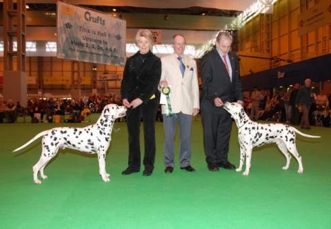 Crufts 2007.jpg